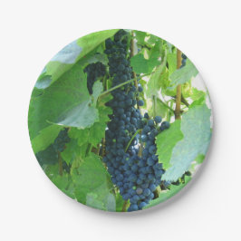 Blaue Trauben Pappteller