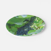 Blaue Trauben Pappteller (Schrägansicht)