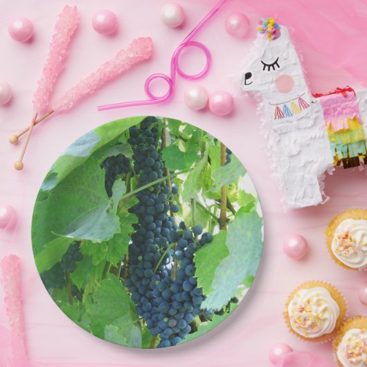 Blaue Trauben Pappteller (Party)