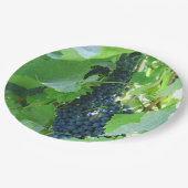 Blaue Trauben Pappteller (Schrägansicht)