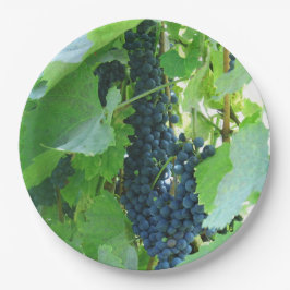 Blaue Trauben Pappteller