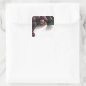 Blaue Trauben Quadratischer Aufkleber (Tasche)