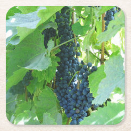 Blaue Trauben Rechteckiger Pappuntersetzer