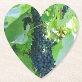 Blaue Trauben Untersetzer