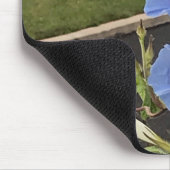 Blaue Trichterwinde Nahaufnahme Mousepad (Ecke)