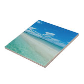 Blaue tropische Jahreszeit, Palau Fliese (Seite)