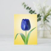 Blaue Tulip-Minimal-Naturfotografie Postkarte (Stehend Vorderseite)
