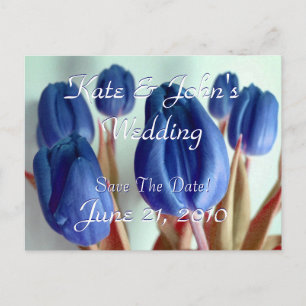 Blaue Tulips Ankündigungspostkarte