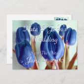 Blaue Tulips Ankündigungspostkarte (Vorne/Hinten)