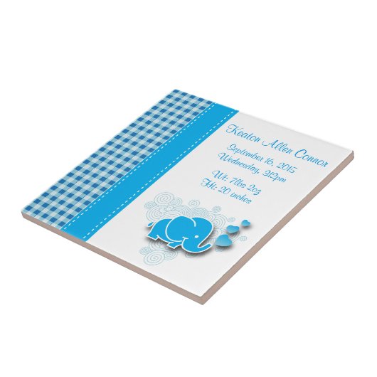 Blaue u. weiße karierte fliese (Seite)