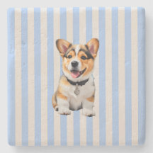 Blaue und beige gestreifte fröhliche Corgi-Hundefr