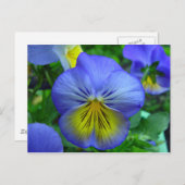 Blaue und gelbe Blume Postkarte (Vorne/Hinten)