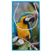 Blaue und gelbe Macaw-Geschenk-Tasche Kleine Geschenktüte (Rückseite)