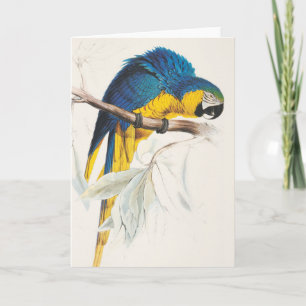 Blaue und gelbe Macaw-Gruß-Karte Karte