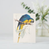 Blaue und gelbe Macaw-Postkarte Postkarte (Stehend Vorderseite)
