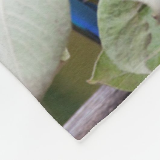 Blaue und gelbe Macaw Sherpa Decke (Ecke)