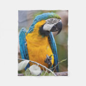 Blaue und gelbe Macaw Sherpa Decke (Vorderseite)
