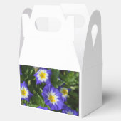 Blaue und gelbe Morgengläser Geschenkschachtel (Geöffnet)