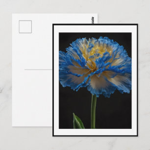 Blaue und gelbe Nelkenblume, Postkarte