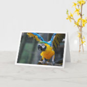 Blaue und gelbe Papagei Karte (Gelbe Blume)