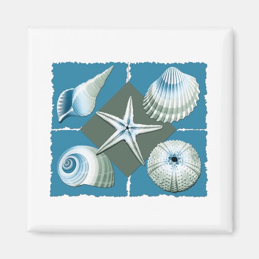 Blaue und grüne Muscheln Magnet (Vorne)