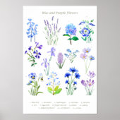 Blaue und lila Blume Poster (Vorne)