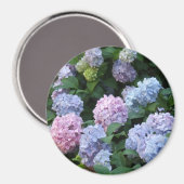 Blaue und Lila Hydrangea Magnet (Vorderseite/Rückseite)