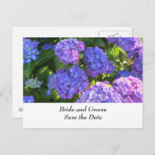 Blaue und Lila Hydrangeas für Hochzeiten Ankündigungspostkarte (Vorne/Hinten)