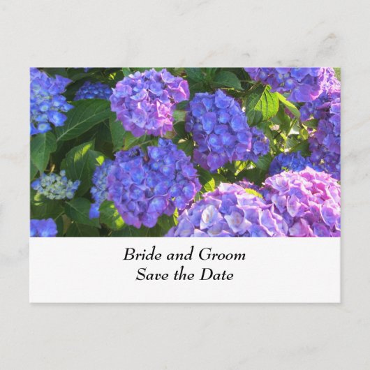Blaue und Lila Hydrangeas für Hochzeiten Ankündigungspostkarte (Vorderseite)