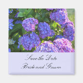 Blaue und Lila Hydrangeas Magnet (Vorne)