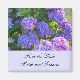 Blaue und Lila Hydrangeas Magnet