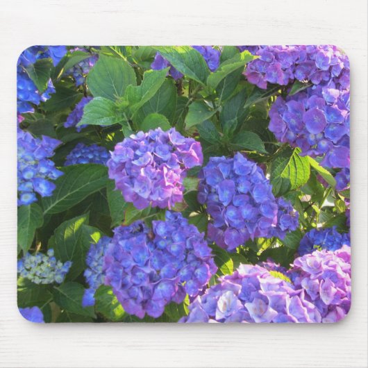 Blaue und Lila Hydrangeas Mousepad (Vorne)