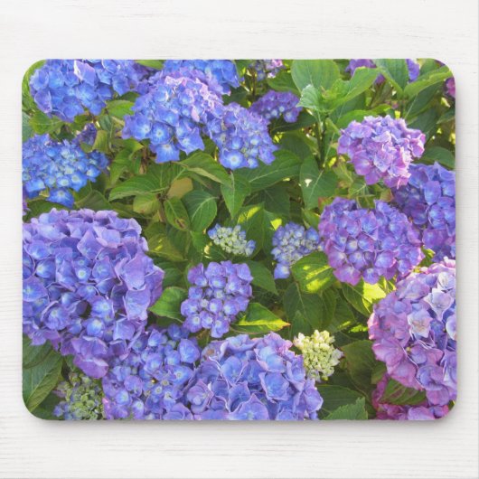 Blaue und Lila Hydrangeas Mousepad (Vorne)