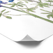 blaue und lila Lupine-Blume Aquarell Poster (Ecke)