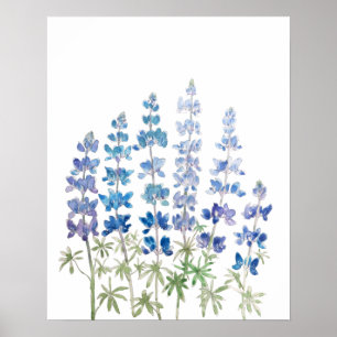 blaue und lila Lupine-Blume Aquarell Poster