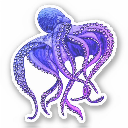 Blaue und lila Oktopus Aufkleber (Vorderseite)