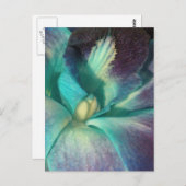 Blaue und lila Orchidee nah Postkarte (Vorne/Hinten)