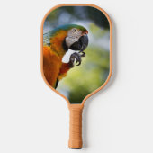 Blaue und orange Macaw Pickleball Paddle (Rückseite)