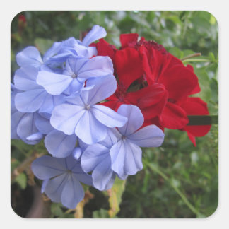 Blaue und rote Blume Einladung Stickers