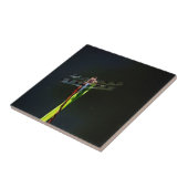 Blaue und schwarze Libelle auf grünem und rotem Gr Fliese (Seite)