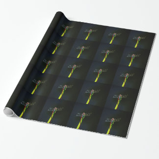 Blaue und schwarze Libelle auf grünem und rotem Gr Geschenkpapier