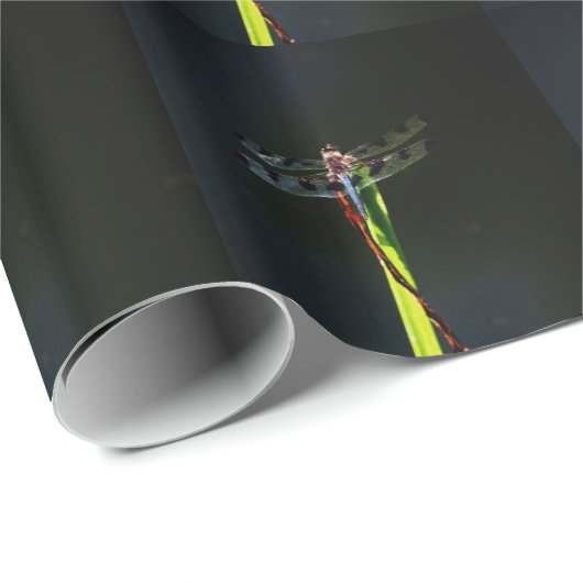 Blaue und schwarze Libelle auf grünem und rotem Gr Geschenkpapier (Rolleneckpunkt)