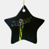 Blaue und schwarze Libelle auf grünem und rotem Gr Keramikornament (Vorne)