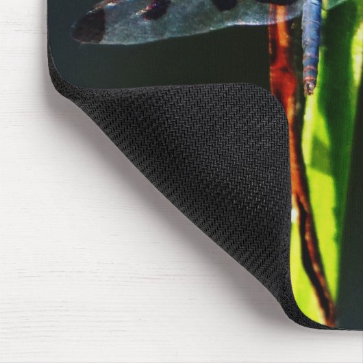 Blaue und schwarze Libelle auf grünem und rotem Gr Mousepad (Ecke)