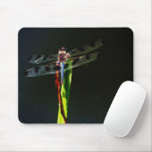 Blaue und schwarze Libelle auf grünem und rotem Gr Mousepad (Mit Mouse)
