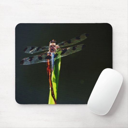 Blaue und schwarze Libelle auf grünem und rotem Gr Mousepad (Mit Mouse)