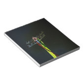 Blaue und schwarze Libelle auf grünem und rotem Gr Notizblock (angewinkelt)