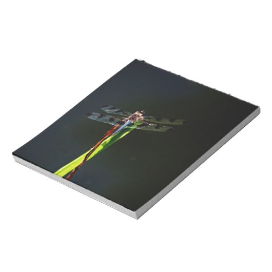 Blaue und schwarze Libelle auf grünem und rotem Gr Notizblock (Rotiert)