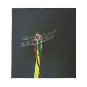 Blaue und schwarze Libelle auf grünem und rotem Gr Notizblock (Vorderseite)