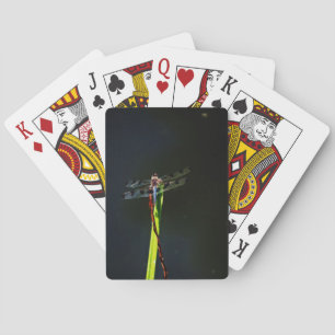 Blaue und schwarze Libelle auf grünem und rotem Gr Spielkarten